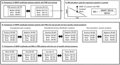 Sensory nerve action potential in patients with functional neurological disorders with sensory manifestations